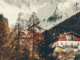 The Great Winter Escape