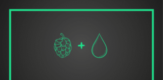 The Most Refreshing Hop Waters, Ranked