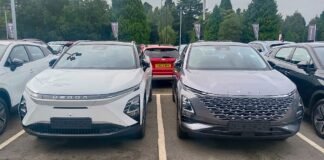 Chinese Newcomers Take on Established Brands in Domestic Car Market