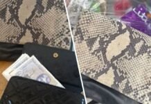Woman reunited with handbag and £500 cash after she put it into trash