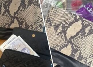 Woman reunited with handbag and £500 cash after she put it into trash