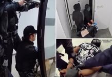 Luxury handbag thieves caught mid-heist by heavily armed cops in wild…