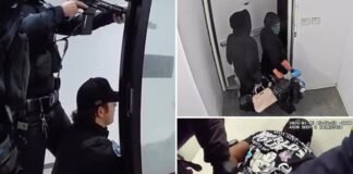 Luxury handbag thieves caught mid-heist by heavily armed cops in wild…