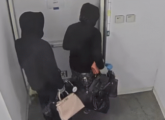 Luxury Handbag Heist in California: How Police Caught Thieves With $100K in Designer Bags