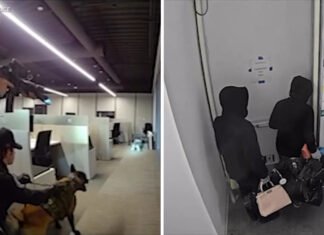 2 suspects caught in the act during Irvine luxury handbag burglary, police say
