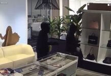 Irvine store owner speaks out after luxury handbag burglary attempt: ‘It just keeps happening’