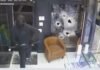 Robbers take off with full inventory over $1M of NJ jewelry store, owner says