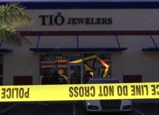 Suspected getaway driver arrested after jewelry store robbery in Cape Coral
