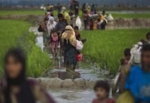 Myanmar: Critical Hearings in Rohingya Genocide Case