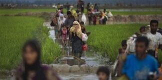 Myanmar: Critical Hearings in Rohingya Genocide Case