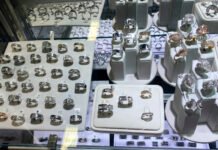 Man Accused in $100 Million Jewel Heist Is Deported, Thwarting Trial