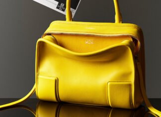 Loewe’s Iconic Amazona Bag Gets a Refresh