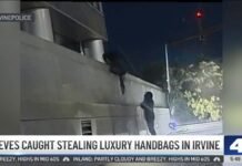 Thieves caught stealing luxury handbags in Irvine