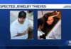 Santa Cruz couple allegedly steals $18,000 in jewelry from downtown store