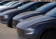 Tesla loses title as world’s biggest electric vehicle maker as sales fall for second year in a row