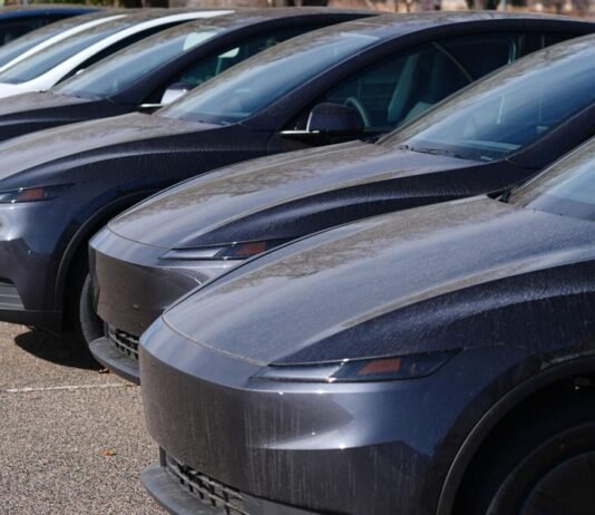 Tesla loses title as world’s biggest electric vehicle maker as sales fall for second year in a row