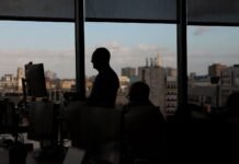 Young workers most worried about AI affecting jobs, Randstad survey shows