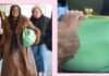 I Tested the Viral Coach Kisslock Clutch That Sells Out in Minutes