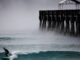 Florida under rare widespread extreme cold watches and warnings