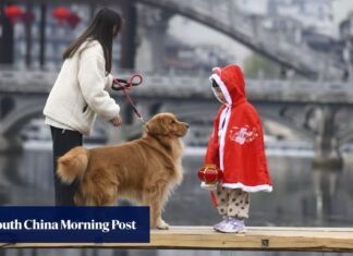 China’s service sector shines as holidaymakers eye bespoke adventures with pets