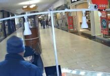 Local family needs help identifying jewelry kiosk thief