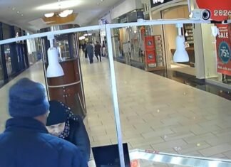 Local family needs help identifying jewelry kiosk thief