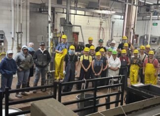 UW Student Develops Artificial Intelligence Model to Study Heart Failure in Cattle