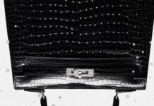 Hermès’ Most Secretive Kelly Bag Yet