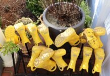 A Fast Food Titan Is Now Cooking for His Wife’s Bespoke Preschool in Dunthorpe