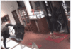Novato jewelry store targeted in armed heist