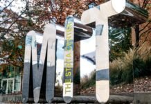 More Data Isn’t Always Better for AI Decisions