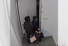 Theft of luxury handbags worth $100,000 foiled by Irvine police