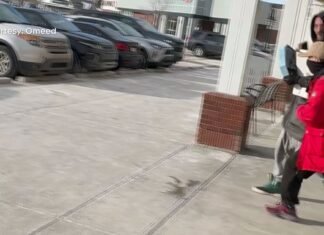 Search on for 2 suspects in northwest Calgary jewelry store robbery