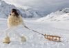 Martin Parr’s Final Vogue Shoot Was a Fashion Extravaganza in the Italian Alps