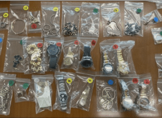 2 arrested, 6 sought in international theft ring that stole watches, jewlery, clothes