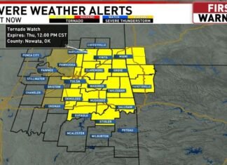 Tornado watch issued for several northeastern Oklahoma counties until noon
