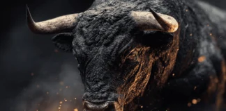 Smart Money Watches DOGEBALL As Avalanche (AVAX) And Hedera (HBAR) Mature – Is This The Best 1000x Crypto Presale To Buy Right Now