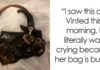 Someone Puts A Dior Handbag For Sale On Vinted, Accidentally Goes Viral