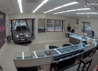 8 suspects, all under the age of 24, arrested after jewelry store heist, pair of crashes