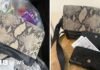 ‘Miracle’ recovery after Treorchy handbag with £500 cash inside ends up at tip