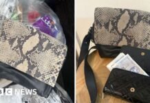 ‘Miracle’ recovery after Treorchy handbag with £500 cash inside ends up at tip