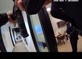 Video shows police foil brazen California luxury handbag heist worth nearly $100K