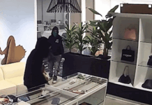 Massive luxury handbag heist caught on camera as heavily armed police swarm California store