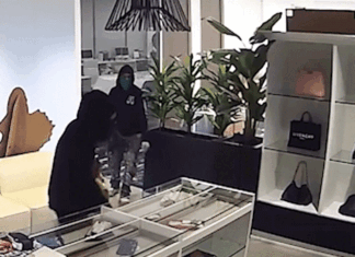 Massive luxury handbag heist caught on camera as heavily armed police swarm California store