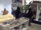 ‘Caught In The Act’ High-End Handbag Thieves Halted Amid Orange County Burglary