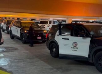 Man bound, beaten in violent Westchester jewelry heist: LAPD