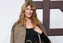 Laura Dern’s Eye-Catching Handbag Is $4,700 — Copy the Look for $36