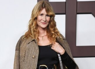 Laura Dern’s Eye-Catching Handbag Is $4,700 — Copy the Look for $36