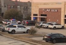 Elderly scammed out of $55M in massive fraud scheme