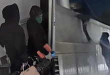 Busted! Luxury handbag thieves caught mid-heist in California; heavily armed cops swoop in — watch – The Times of India